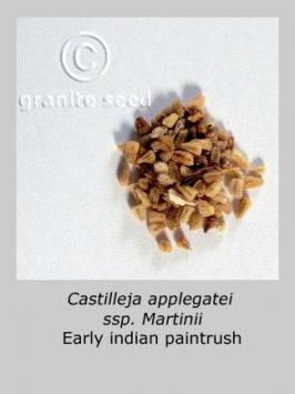 castilleja  applegatei ssp. martinii  product gallery #3