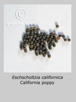 eschscholzia  californica  product gallery #3