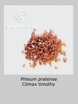 phleum  pratense  product gallery #3