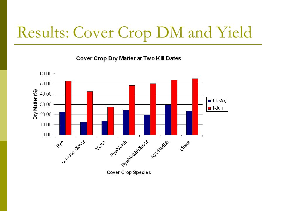 Cover Crop DM and Yield