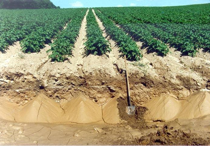 Soil Erosion Example 1