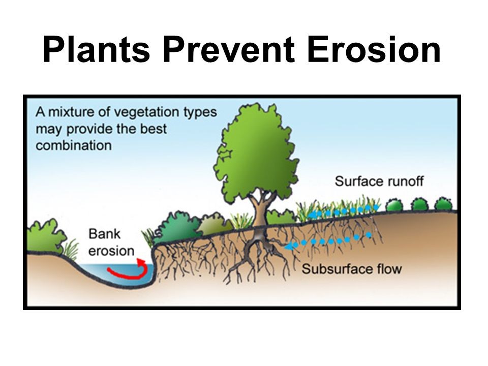 Runoff Erosion Control
