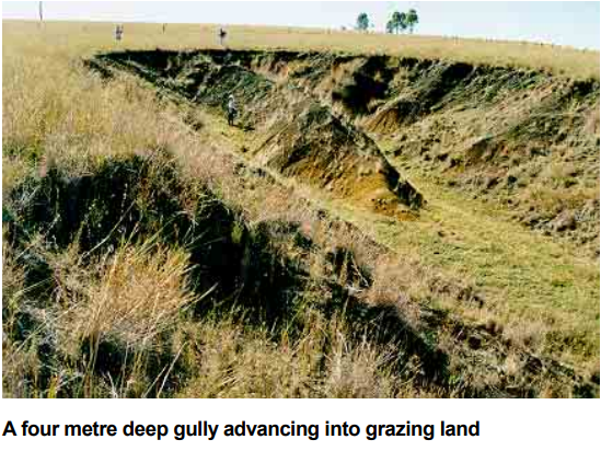 What is the Difference Between Rill and Gully Erosion 3