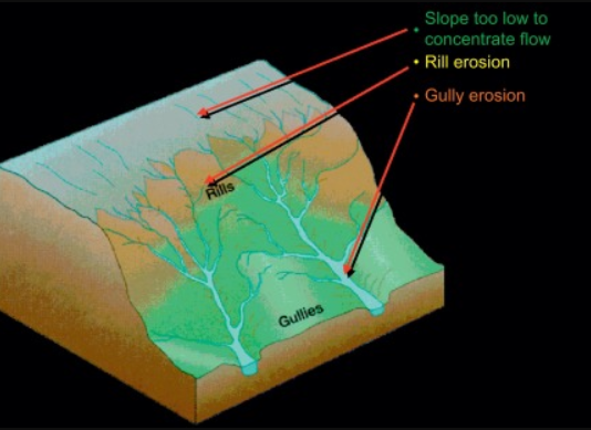 What is the Difference Between Rill and Gully Erosion 4