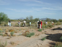 granite seed crew collecting seed by hand