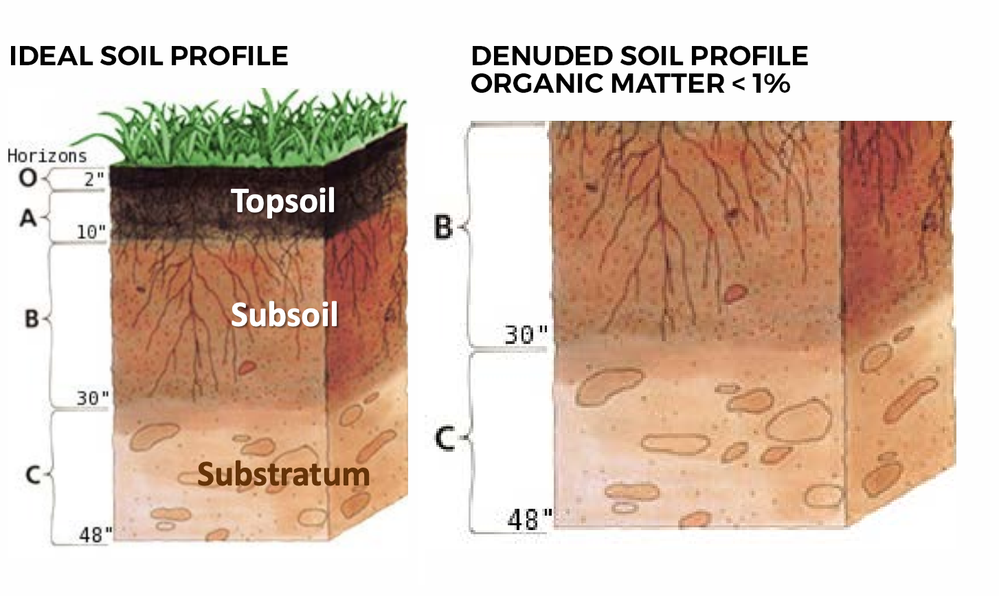 proganics-biotic-soil-media-topsoil-alternative-granite-seed