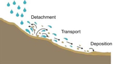 Hvad er forskellen mellem Rill og Gully Erosion 1