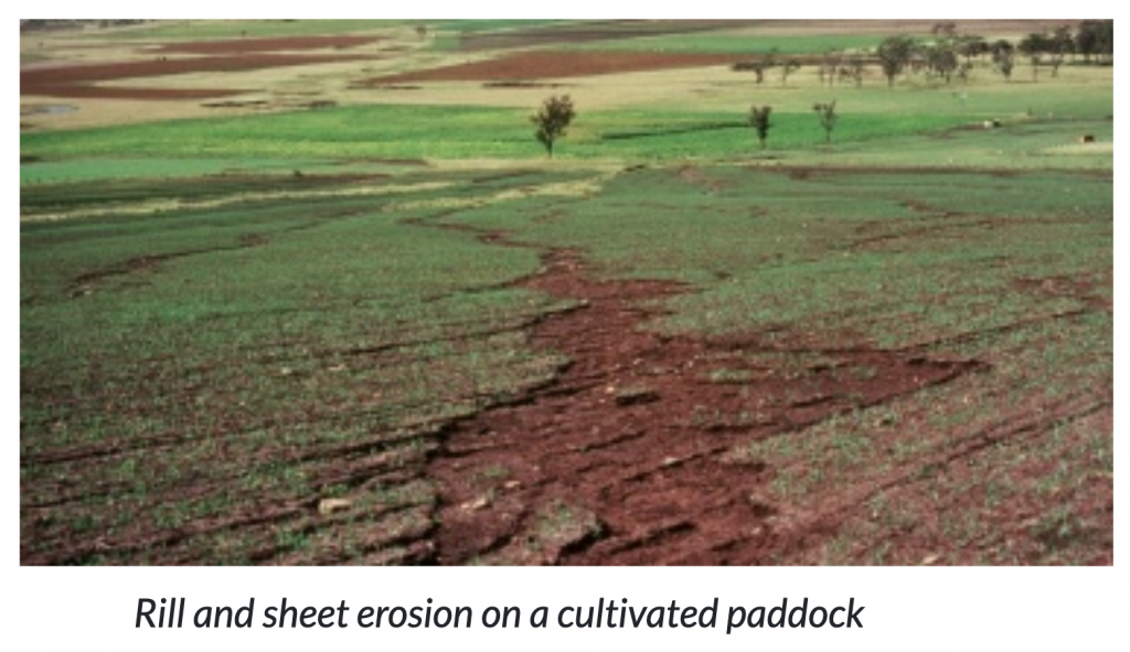 Difference Between Sheet Erosion And Gully Erosion