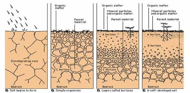 soils-312-brief-study-of-soil-fertility-manure-fertilizers-soil