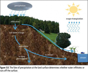 Erosion Control Wattles: Effective Landscape Defense